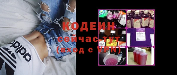 соль ск Абаза