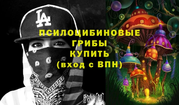 соль ск Абаза
