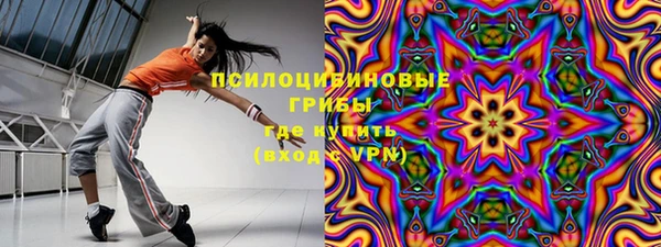 соль ск Абаза