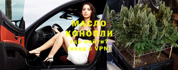 сатива Покачи