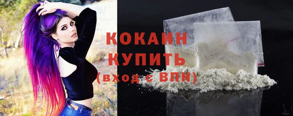 соль ск Абаза