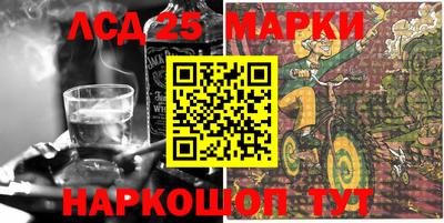 гашик Донской