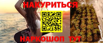 гашик Донской