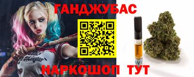 гашик Донской