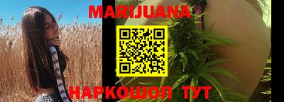 гашик Донской