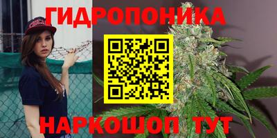 спайс Дубна