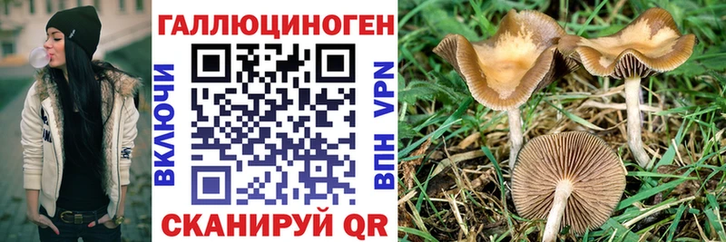 Галлюциногенные грибы Cubensis ОМГ ОМГ ССЫЛКА Камень-на-Оби