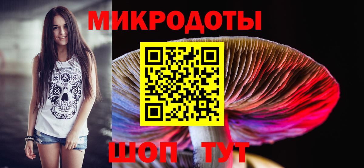 Камень-на-Оби  Галлюциногенные грибы MAGIC MUSHROOMS  Вход с VPN  где можно купить наркотик  Галлюциногенные грибы Psilocybe 